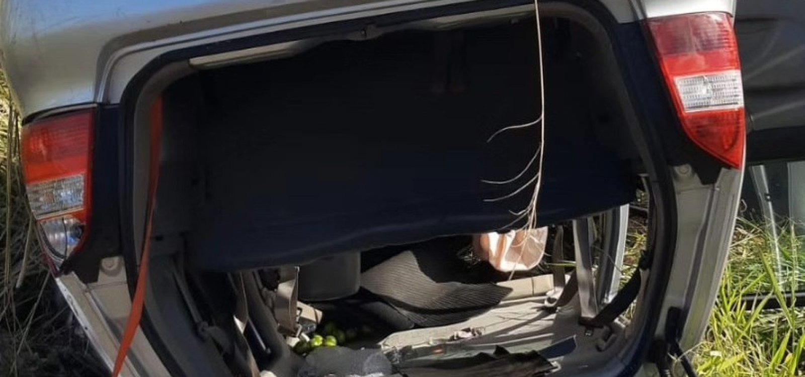 504632883_9658170947614546_4997539284141081710_n