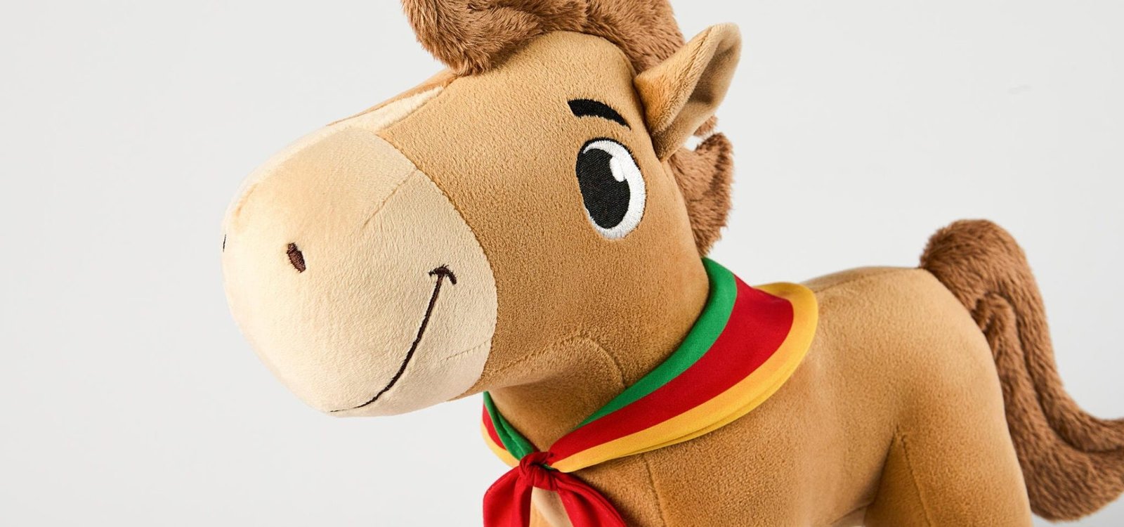 Cavalo Caramelo usa um lenço nas cores da bandeira do Rio Grande do Sul.
SALOMAO CARDOSO / Divulgação