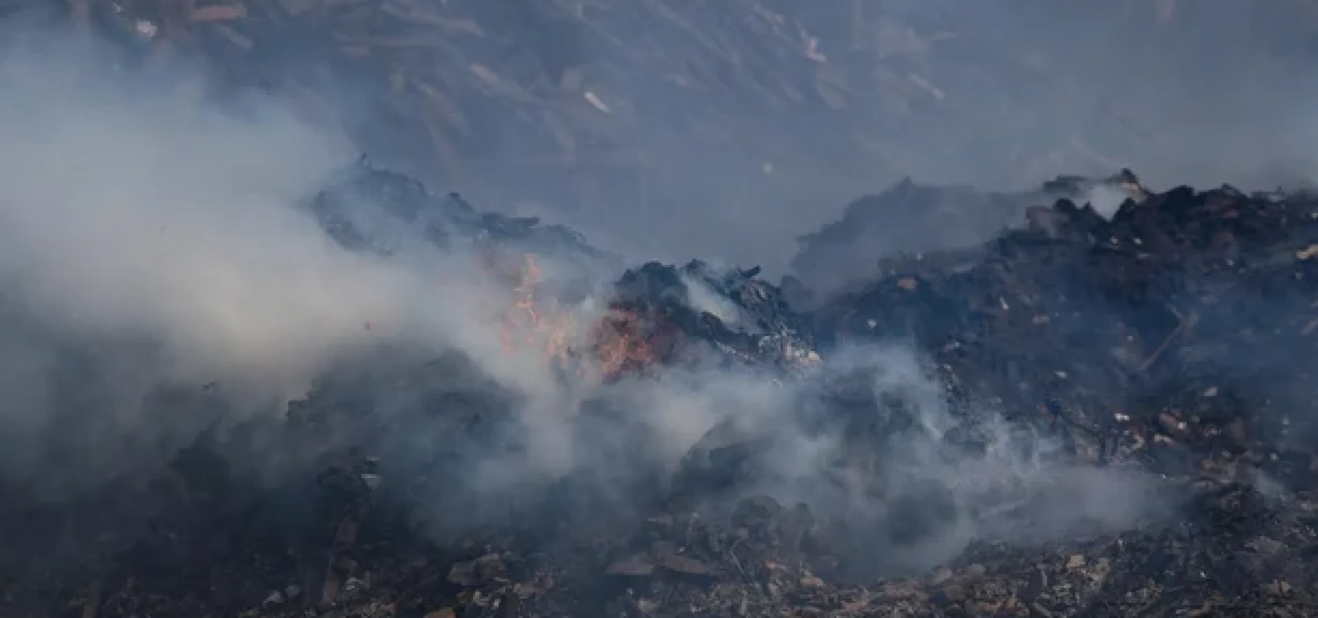 Fogo atinge área na Praia do Araçá.
André Ávila / Agencia RBS