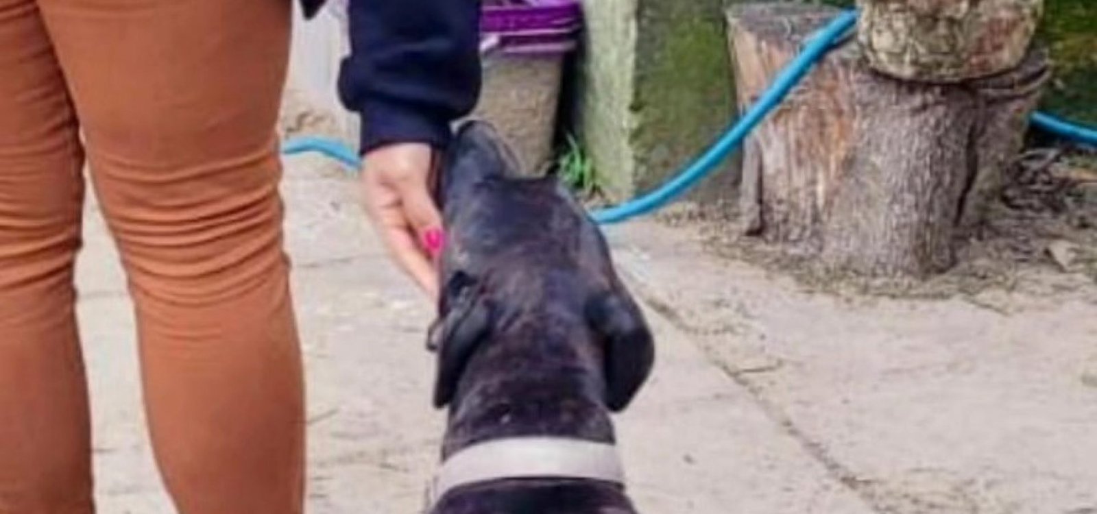 523142712_10023366327761671_8278592409851815024_n