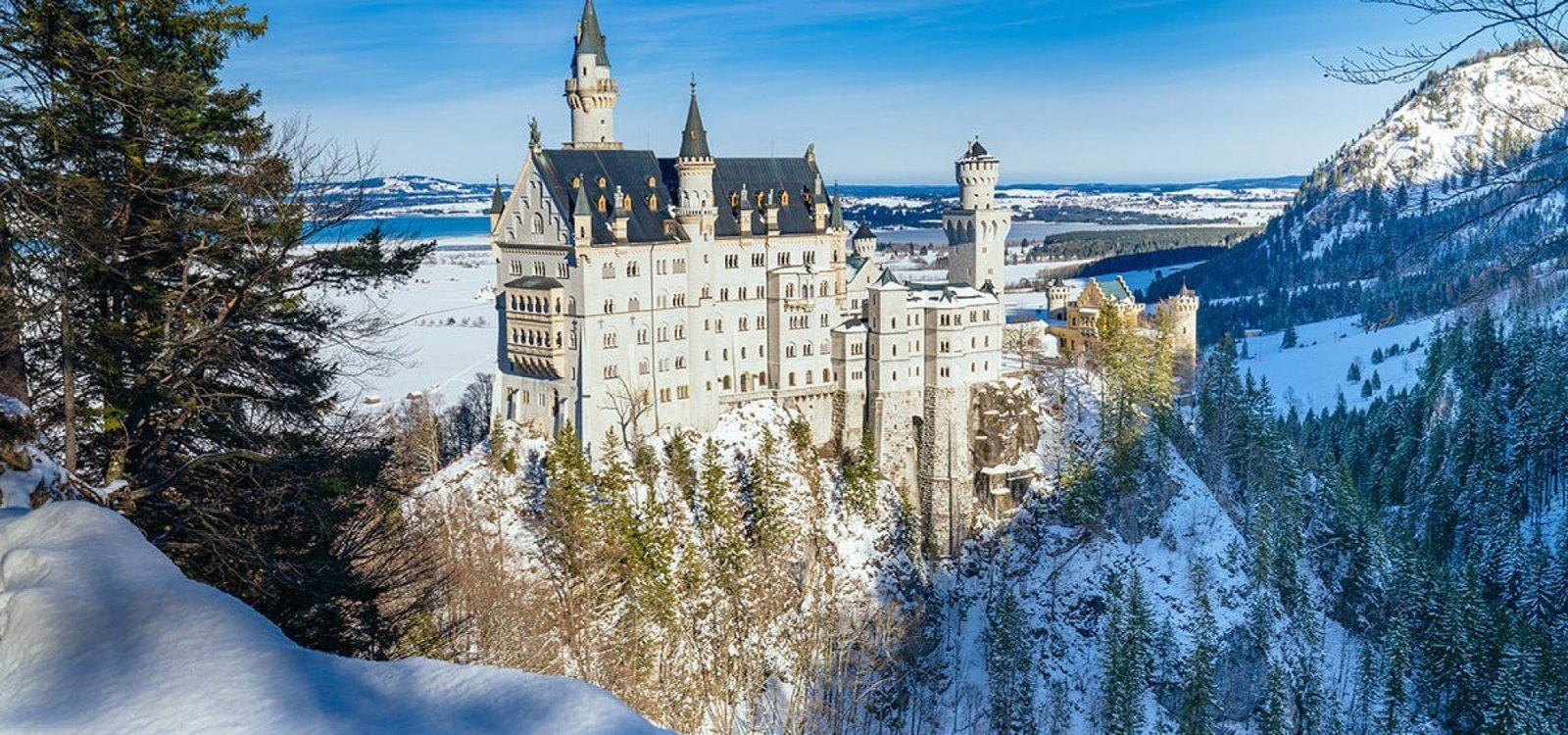 D: Em nome do Pai + e do Filho e do Espírito Santo. T: Amém. D: Façamos um breve exame de consciência. (Pausa)