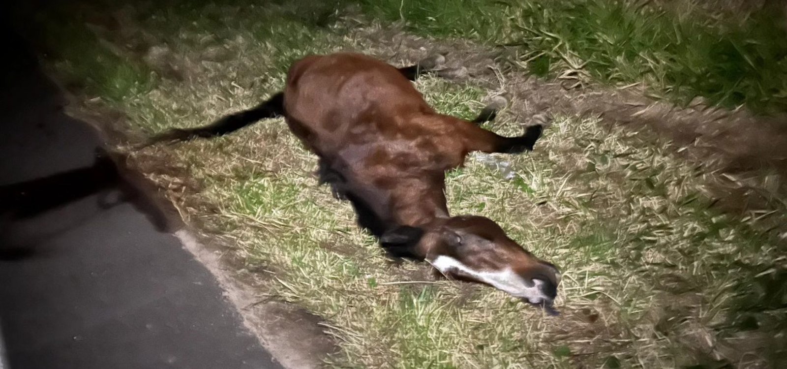 526595587_10086560641442239_3998992383723782560_n