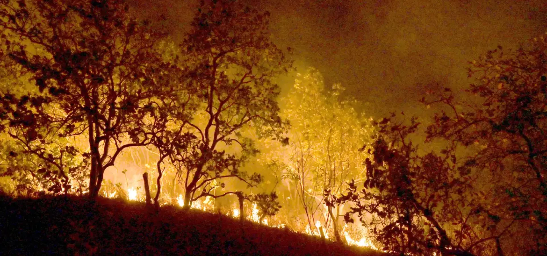 53543529360_dcce8a6f10_o