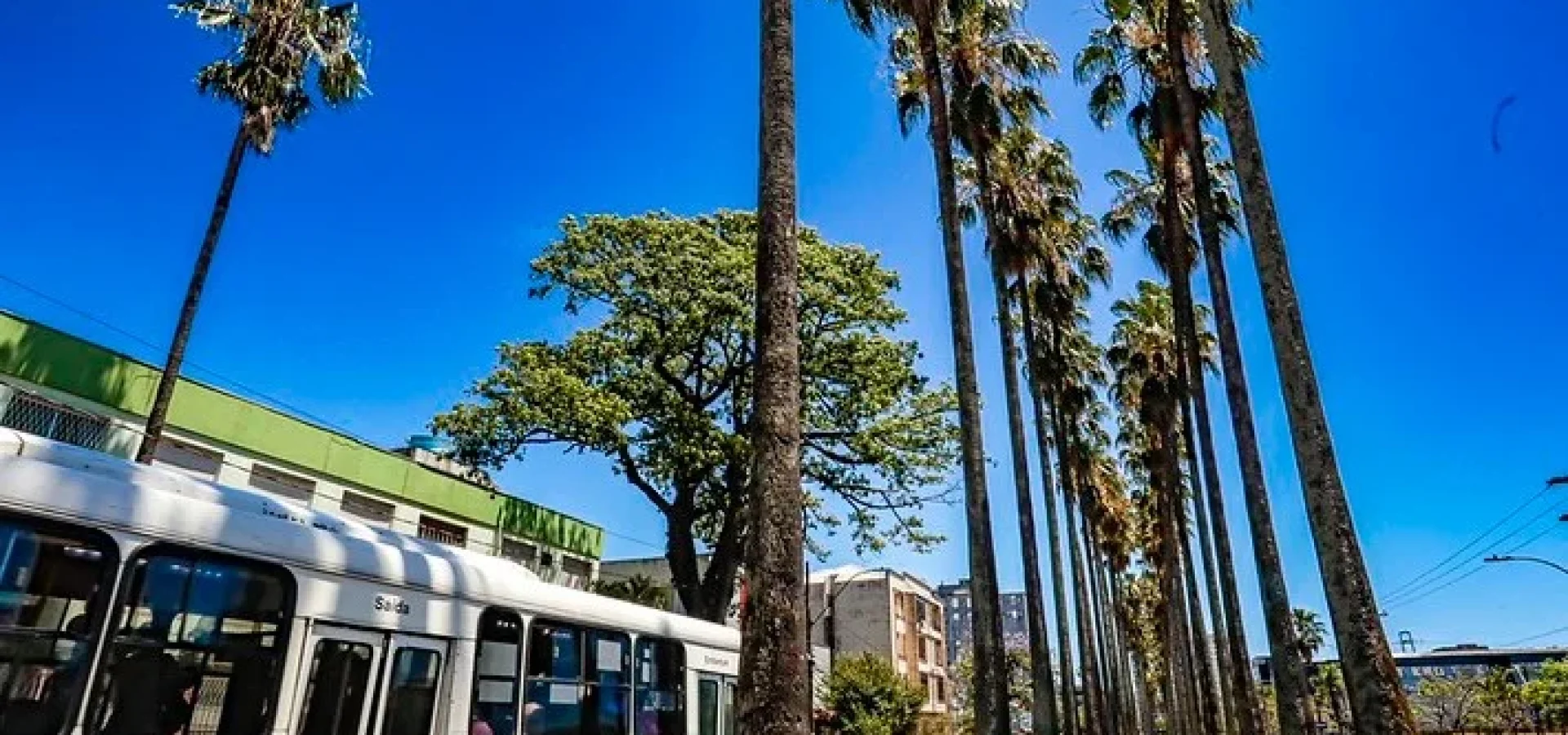 Em Porto Alegre, as temperaturas ficam entre 15°C e 29°C.
Foto : Alex Rocha/PMPA