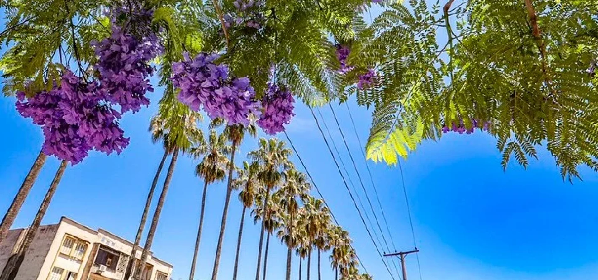 Em Porto Alegre, as marcas variam entre 13ºC e 29ºC.
Foto : Alex Rocha/PMPA
