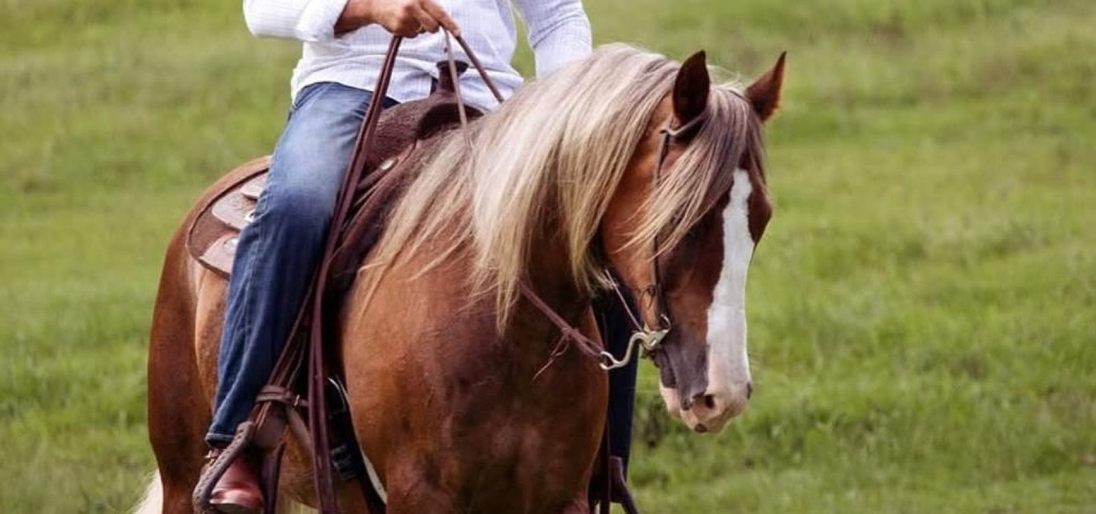 542977424_17970695732929884_3709547752991670988_n