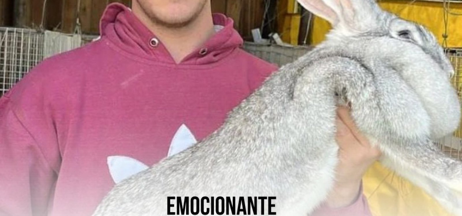 543173946_1184819490350332_956531879832756392_n