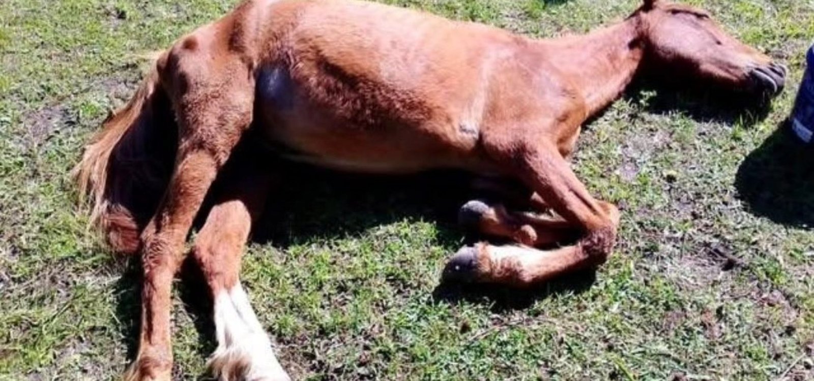 579286437_24755648660773528_6548389156812832177_n