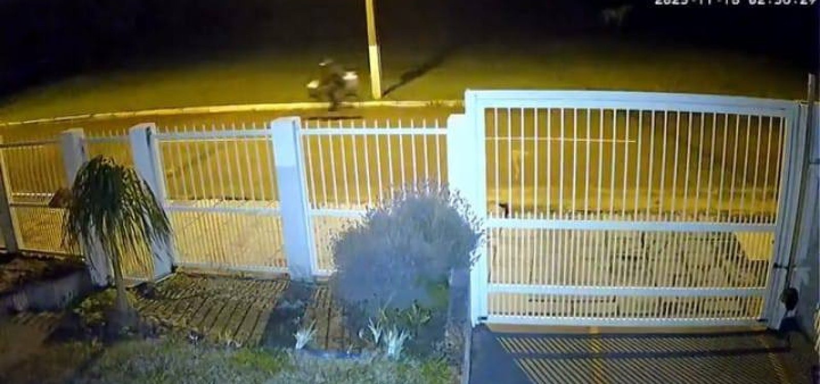 585373564_25344559941804439_1720656277866870735_n