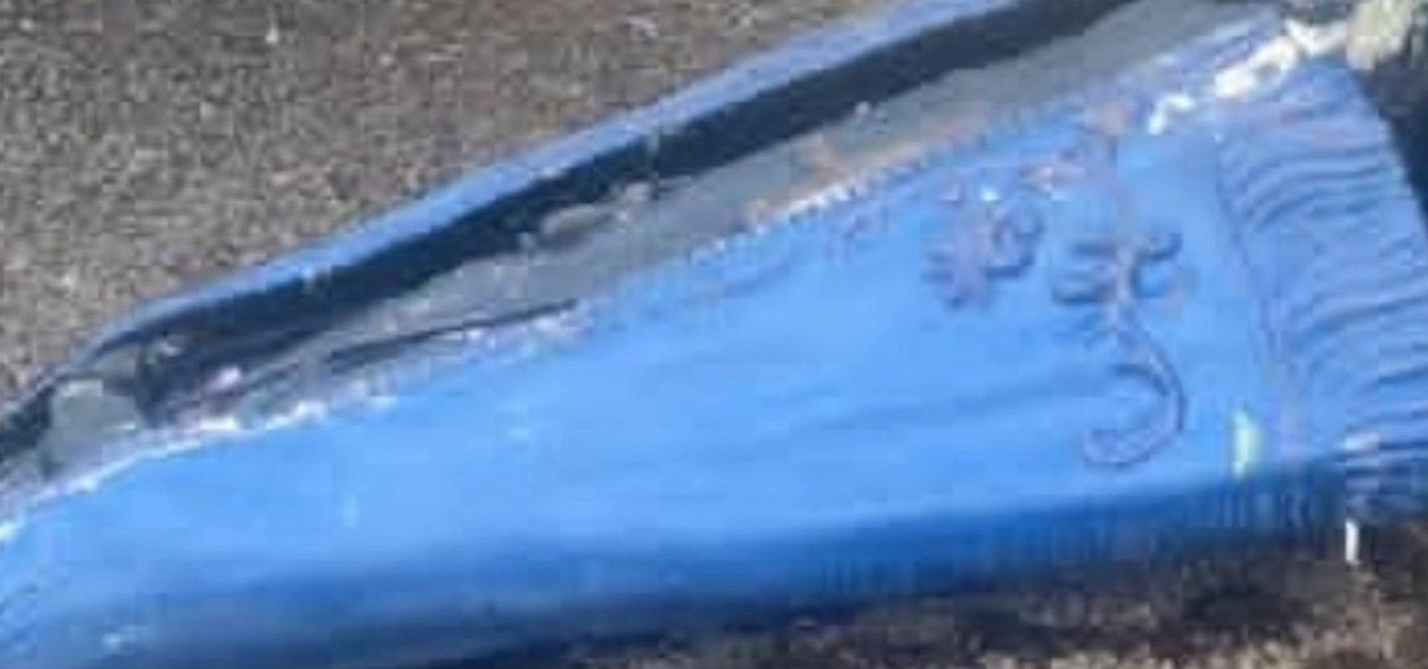 597020329_25016822911322767_4540145419215265058_n