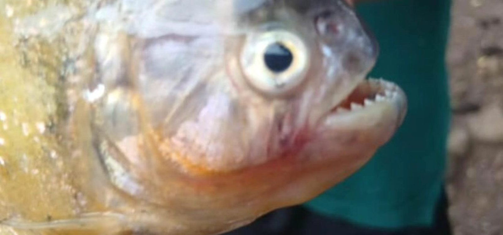 599942082_25072461125758945_5989273053529099079_n