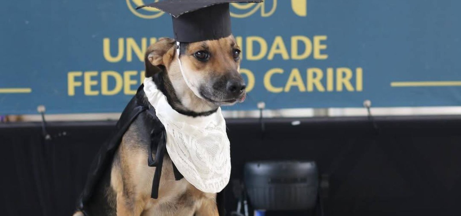 601348654_1447935354001602_135931103416768688_n