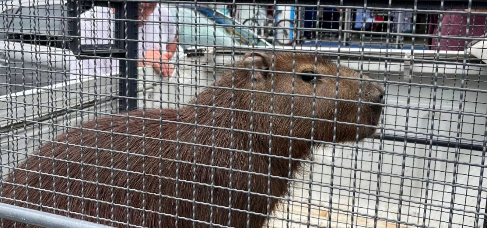 612344081_25253287194343003_552792184991138833_n