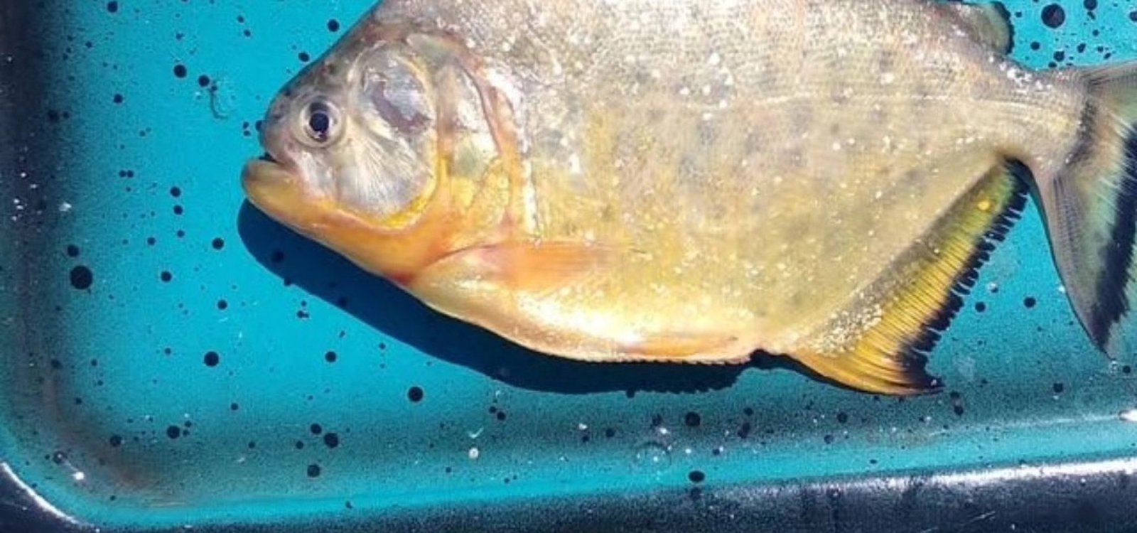 617862313_25334973412841047_8683615407161194524_n