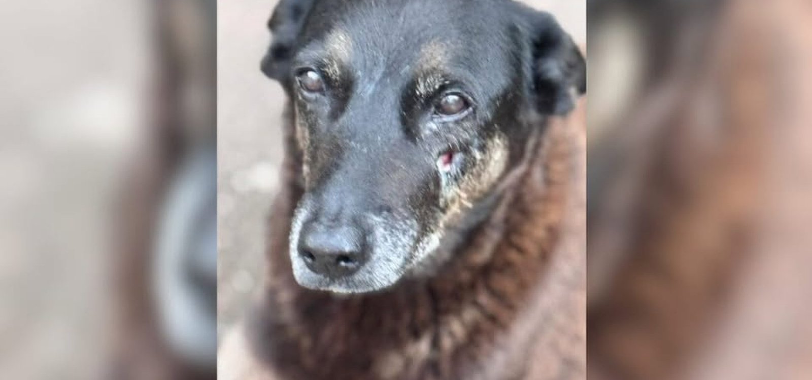 622224139_880132347966800_6330005485523886915_n