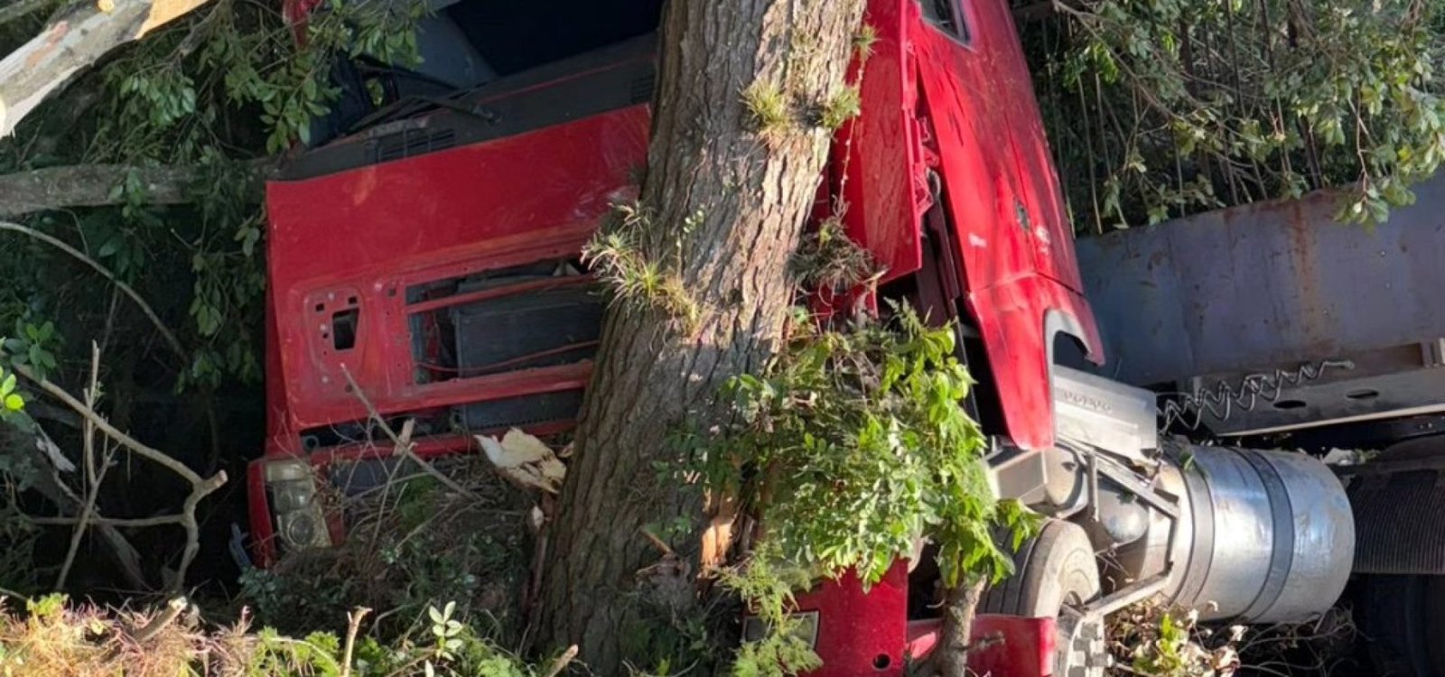 632740537_25558147717190281_3714916600579922104_n