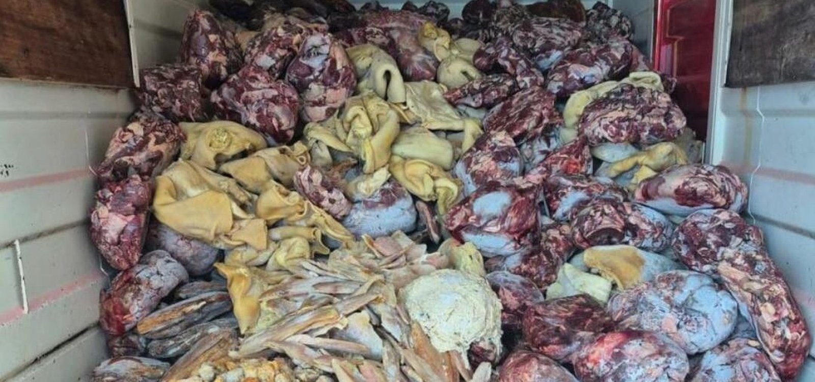 Foto: Litoral Notícias