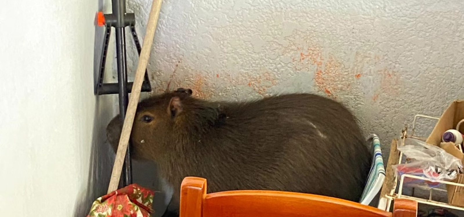 640266891_25654124397592612_6808578527912385184_n