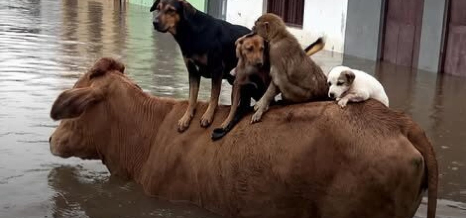 641642324_122217249650363554_8136685964005264871_n