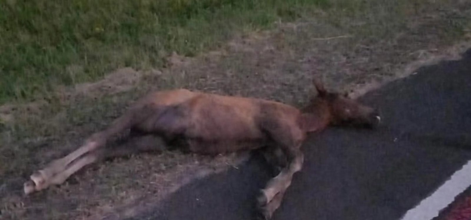 646136392_25735507086121009_4711819889666489646_n