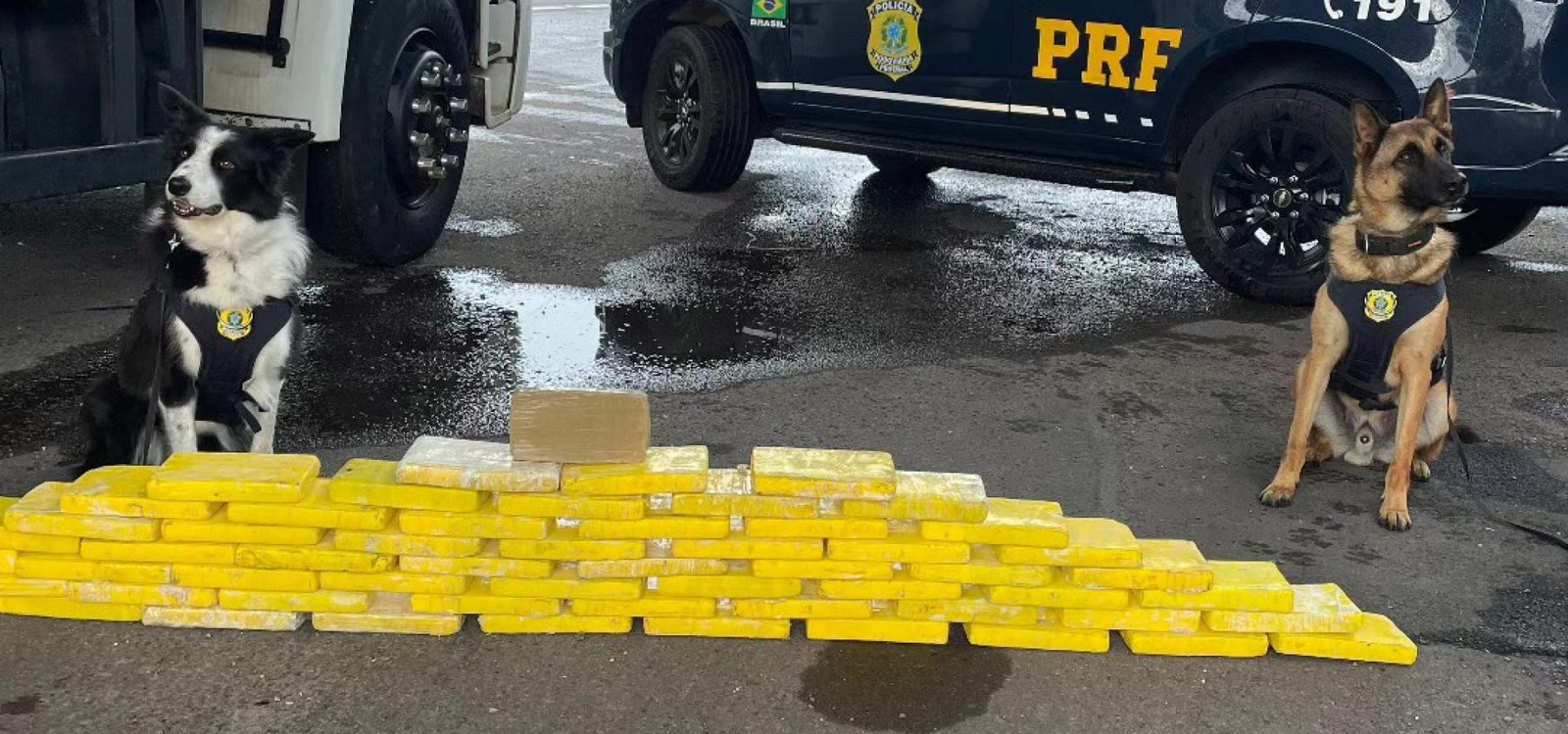 648452801_25773071175697933_3029212936474796269_n