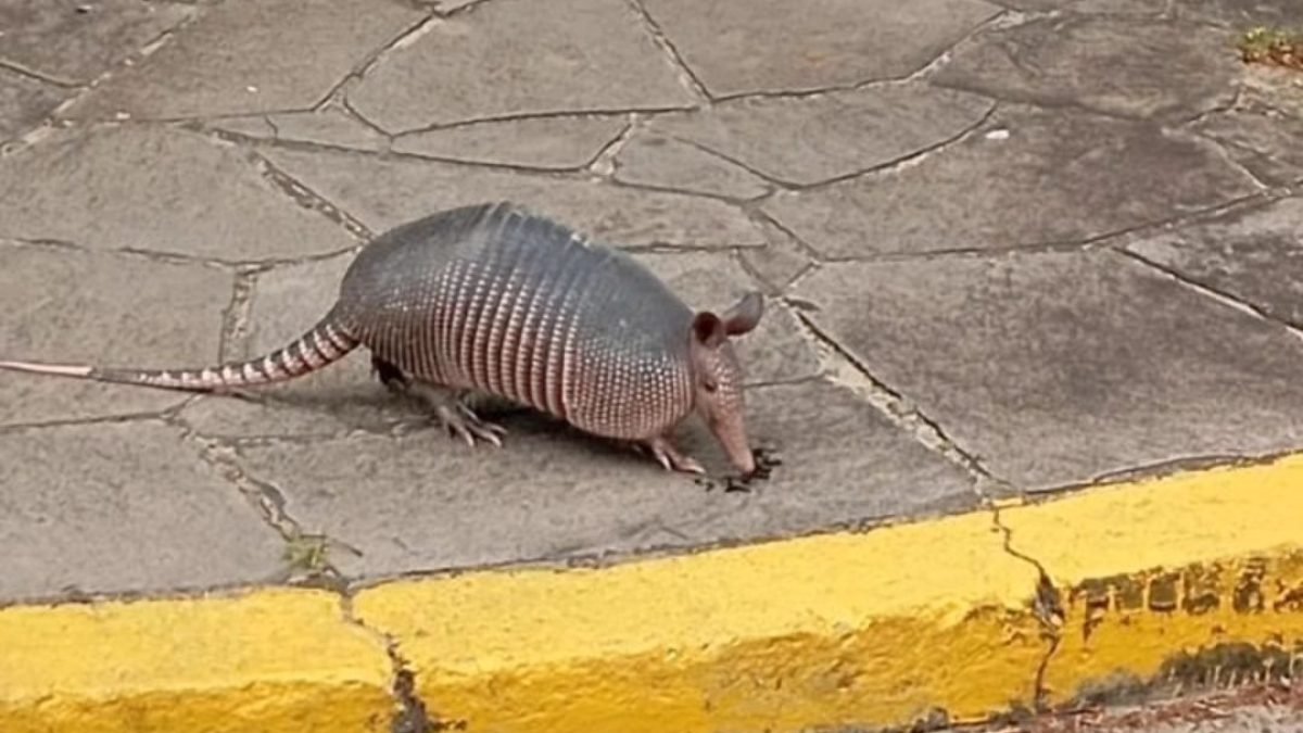 649822023_25828848666786850_8877062631905836569_n
