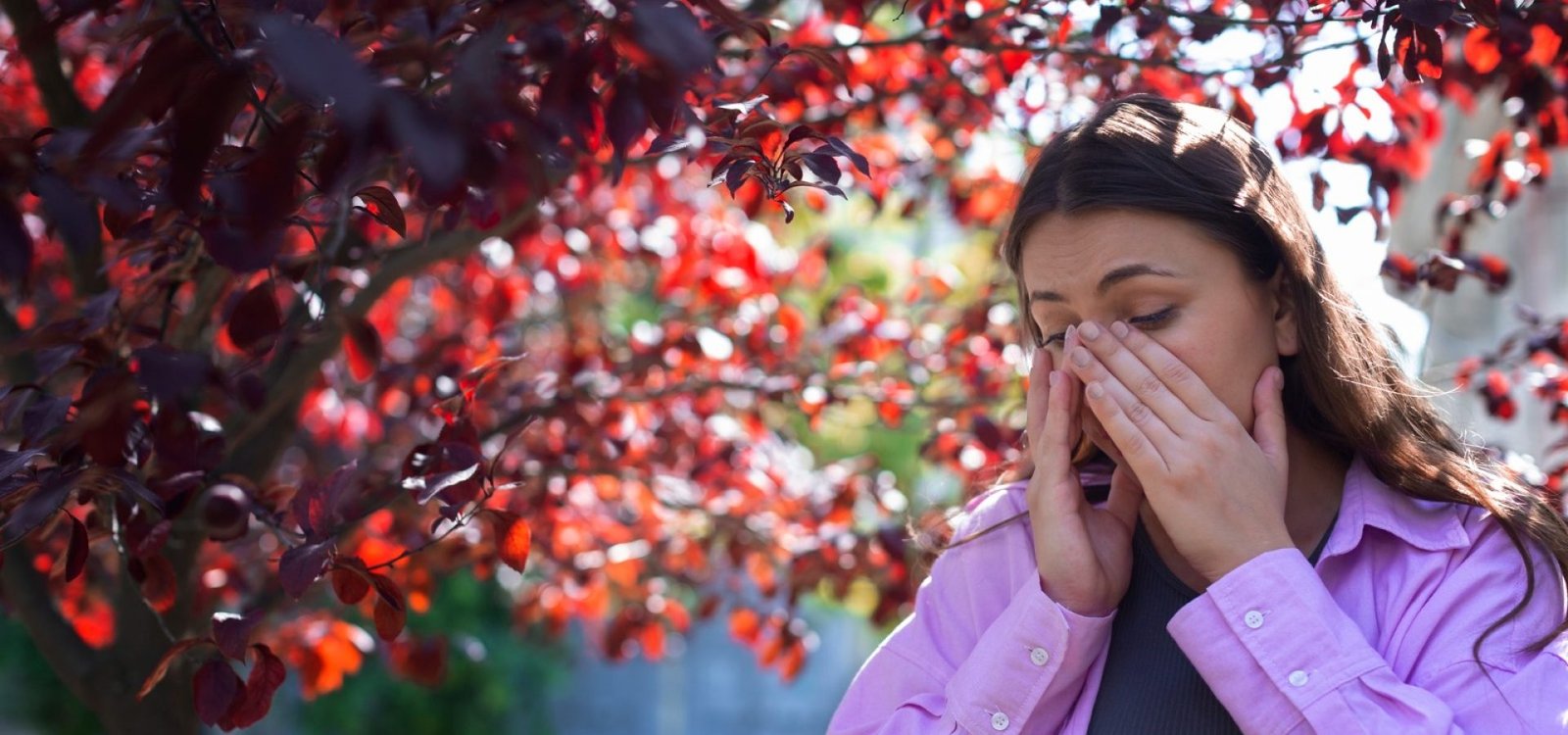 6657753e-4db9-456c-ab75-6e6abff15d4a