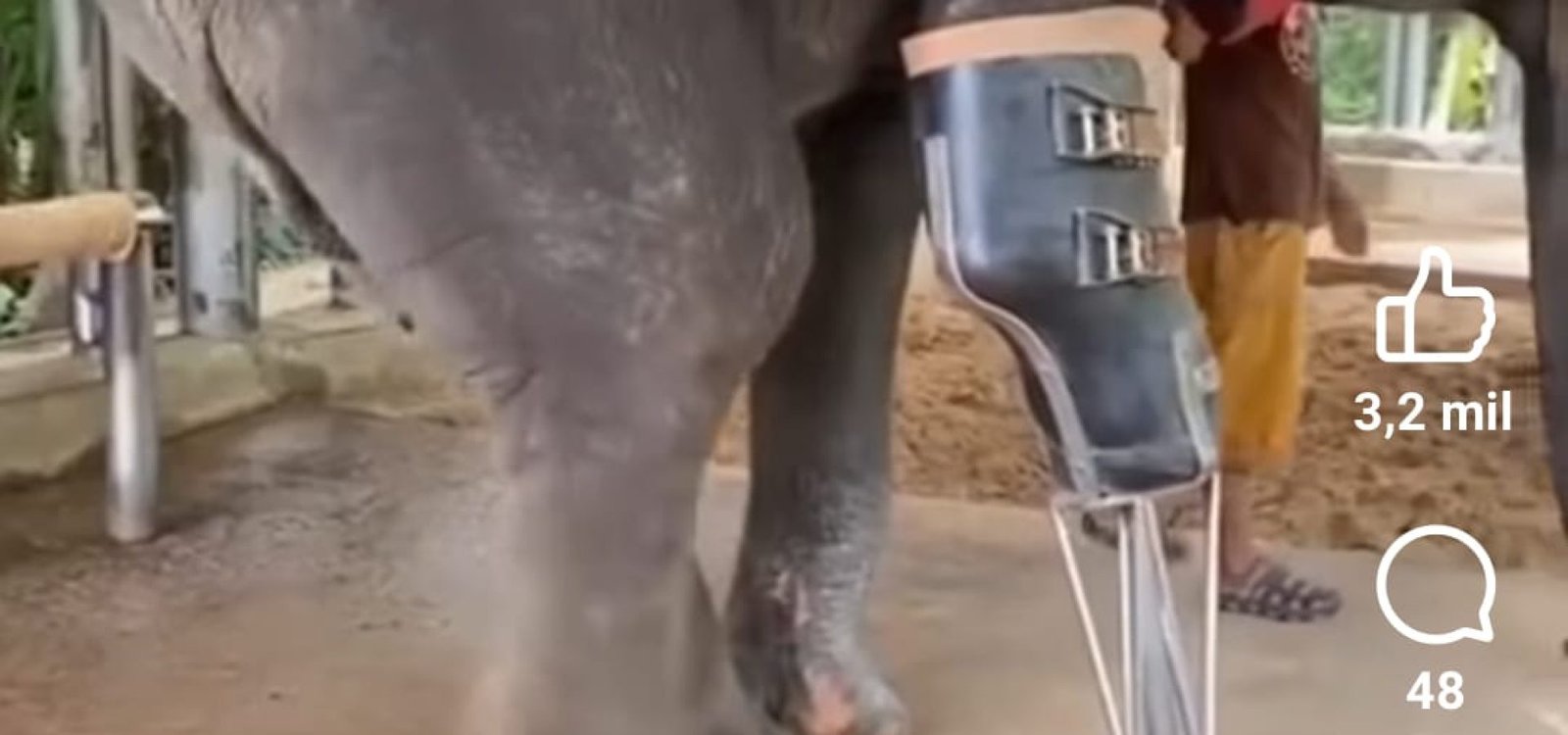 67f0c7a3-b14e-4dd4-86b0-c1cac2b39117 67f0c7a3-b14e-4dd4-86b0-c1cac2b39117