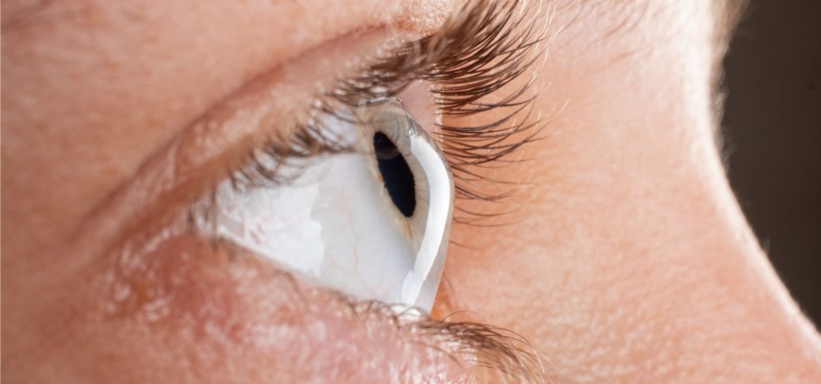 79944fa4-25a1-4e91-a68a-c46a1089f599