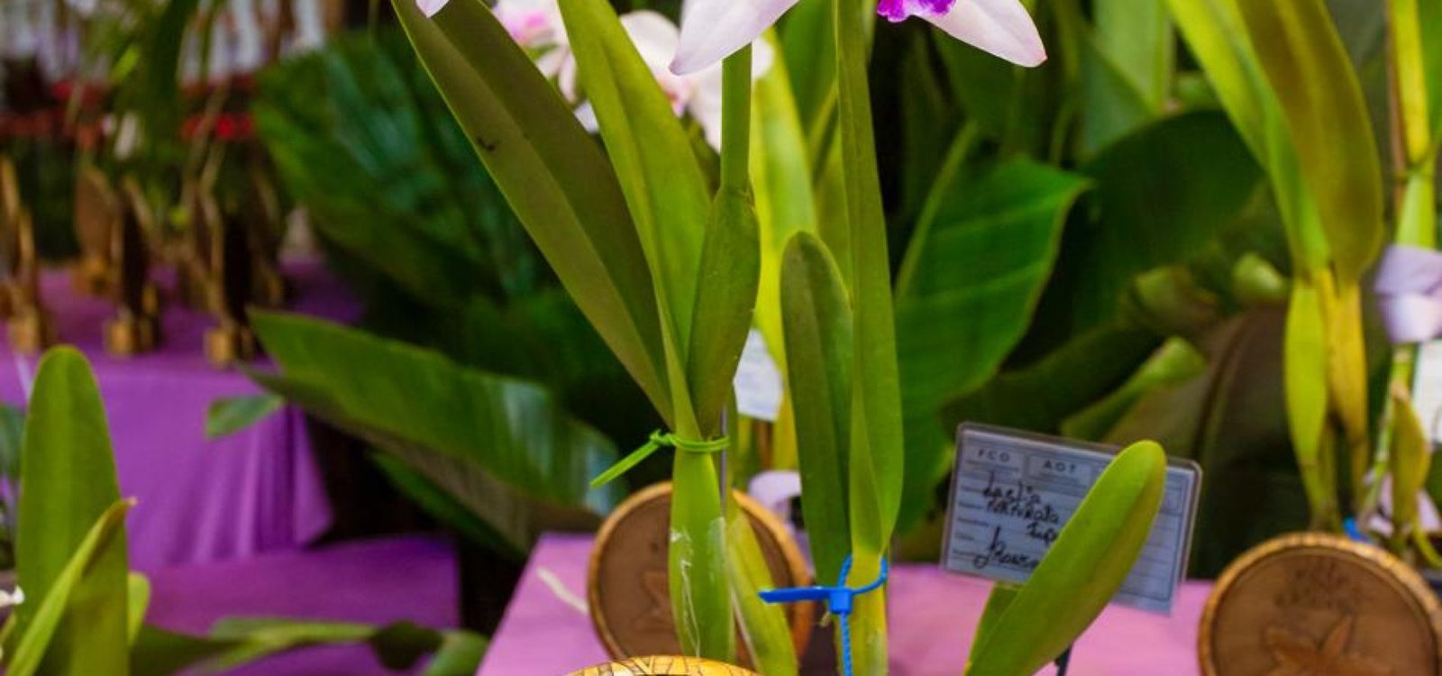 8c547ea3-cf4d-4ed7-8433-b23df0352c99