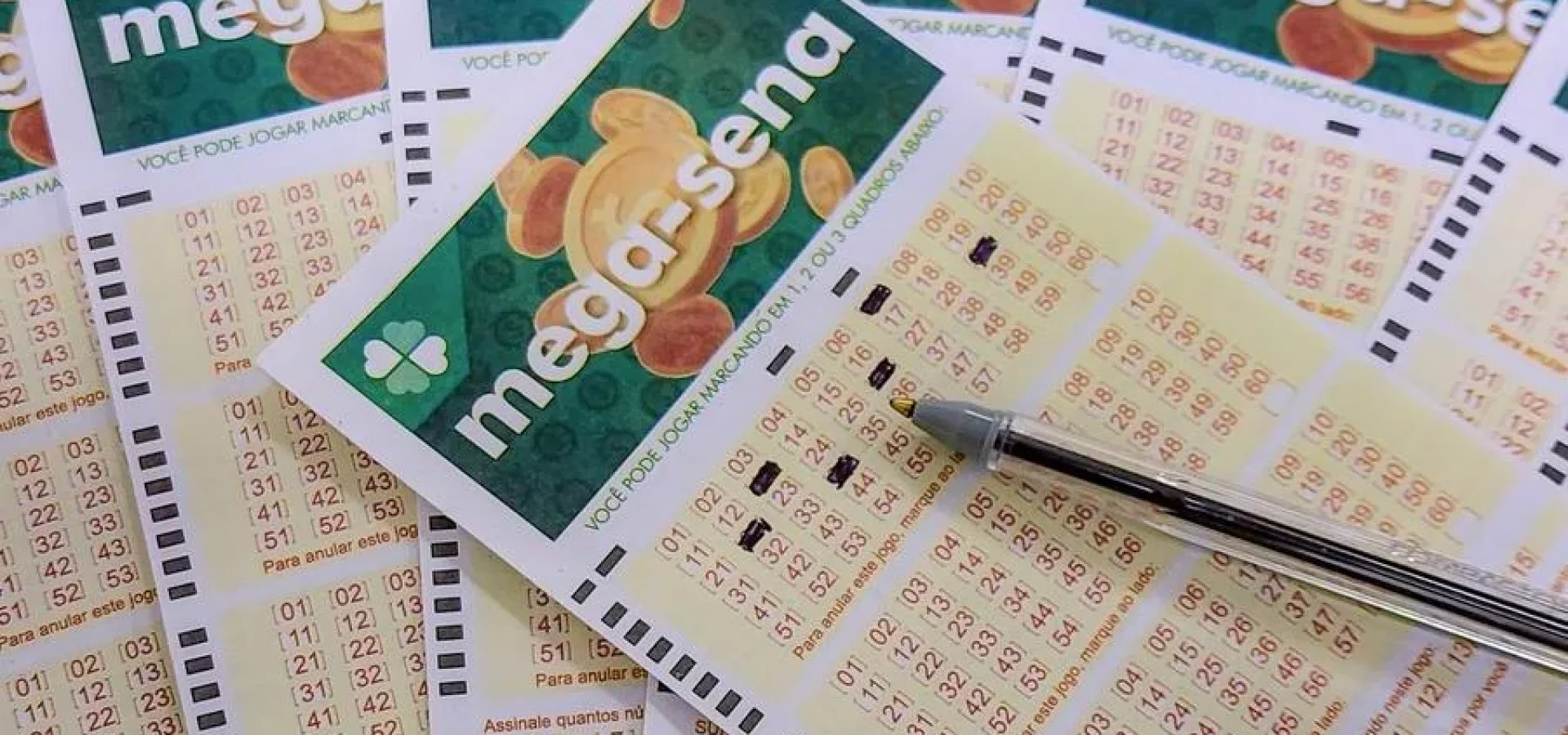 O jogo simples, com seis dezenas marcadas, custa R$ 5 | Foto: Rafa Neddermeyer / Agência Brasil / CP