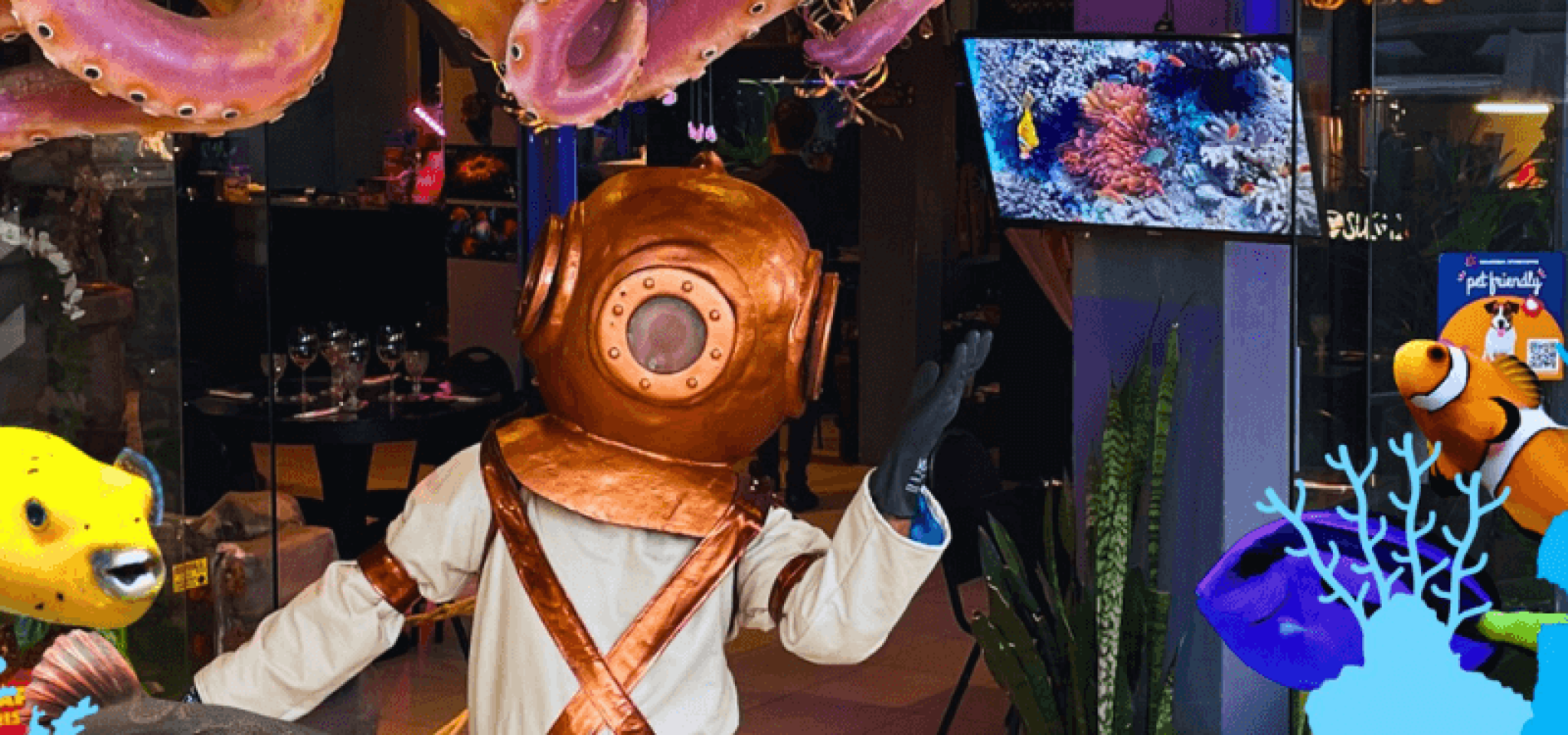 Aquarismo Experience