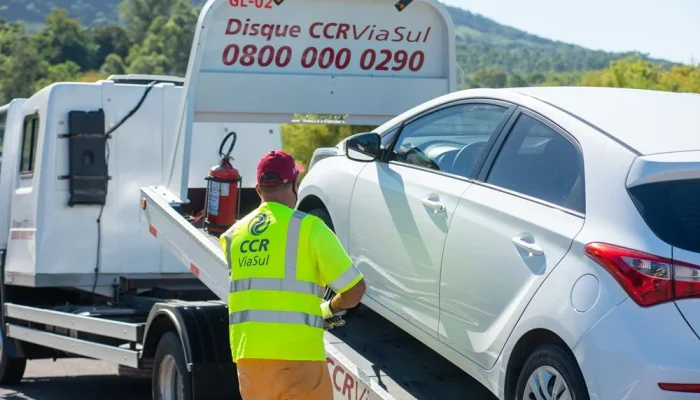 CCR ViaSul