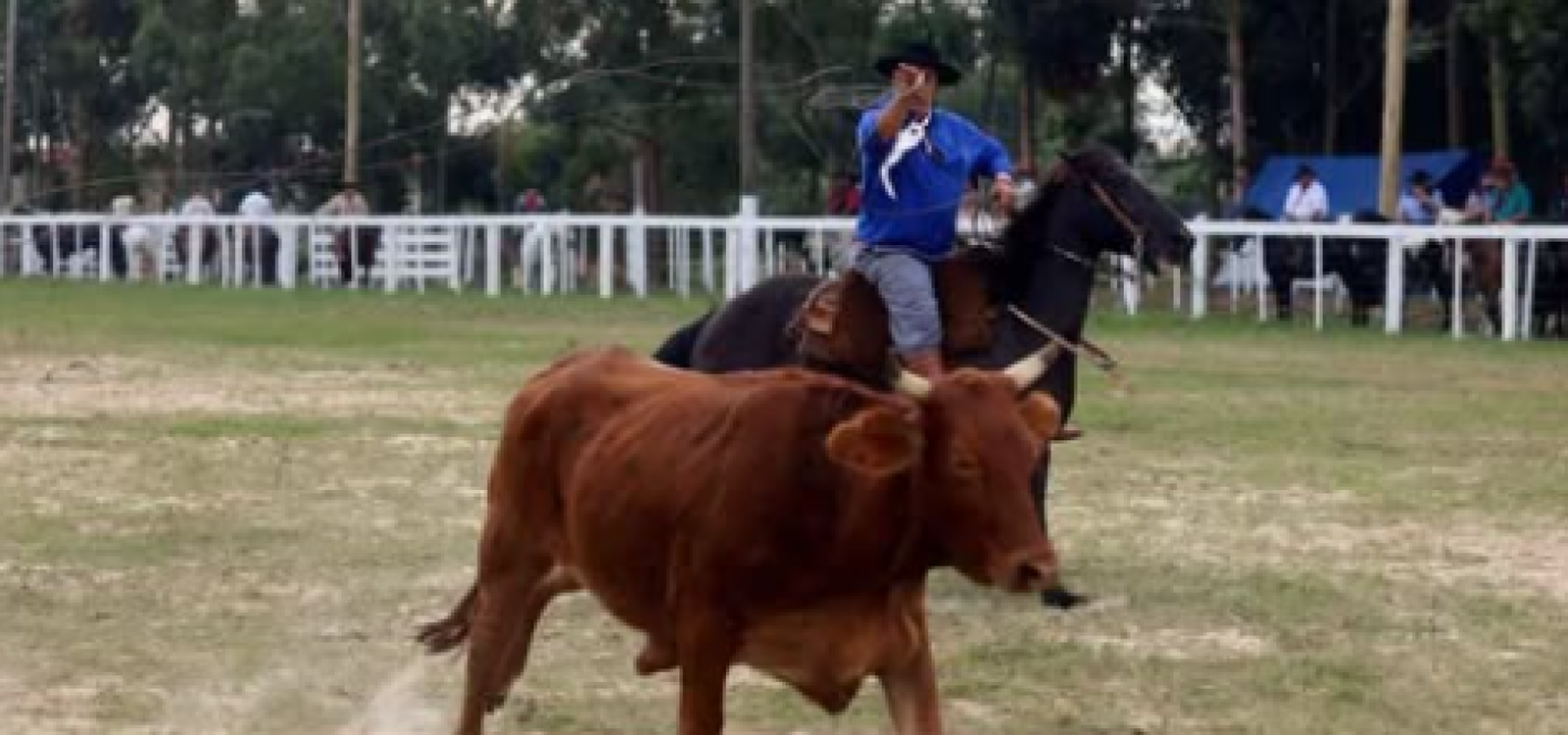 Captura de tela 2026-03-02 001900