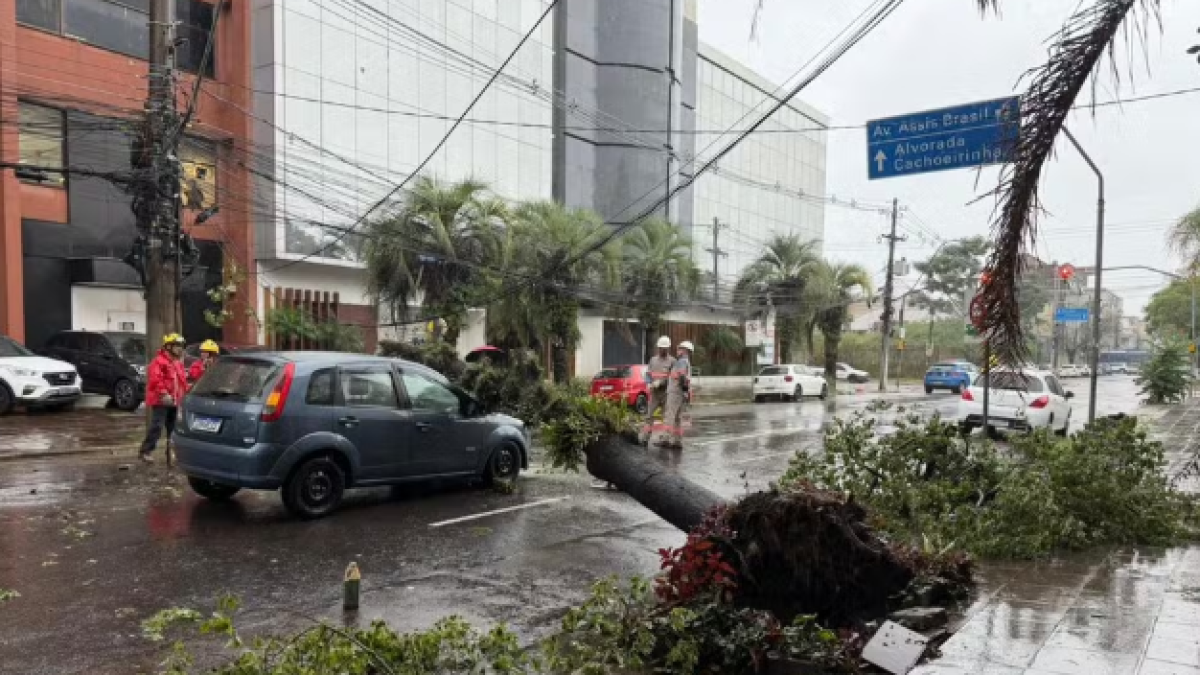 Árvore de grande porte atinge carro na Zona Norte de Porto Alegre. — Foto: Matheus Gourlart/RBS TV