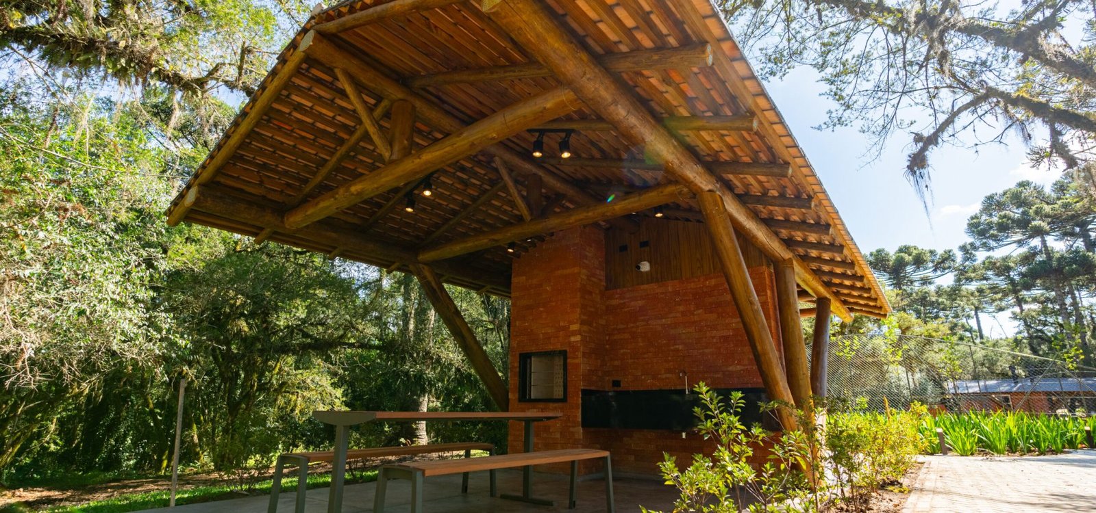 Fernando Schimanoski. Divulgação