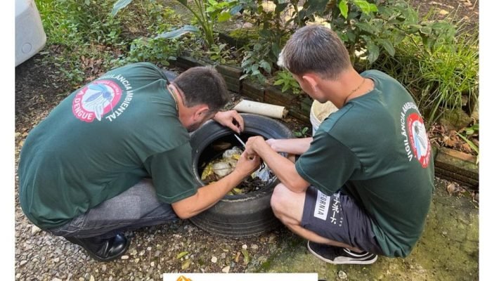 Dia D Nacional para combater a dengue