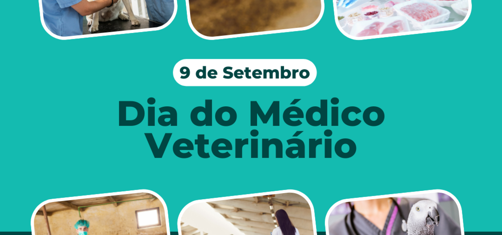 Dia do veterinário