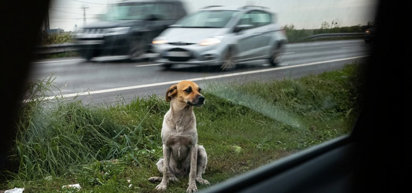 Era uma segunda-feira comum de agosto e ele ficou esperando durante 11 dias.