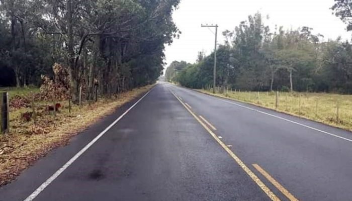 EstradaOsorio_310323