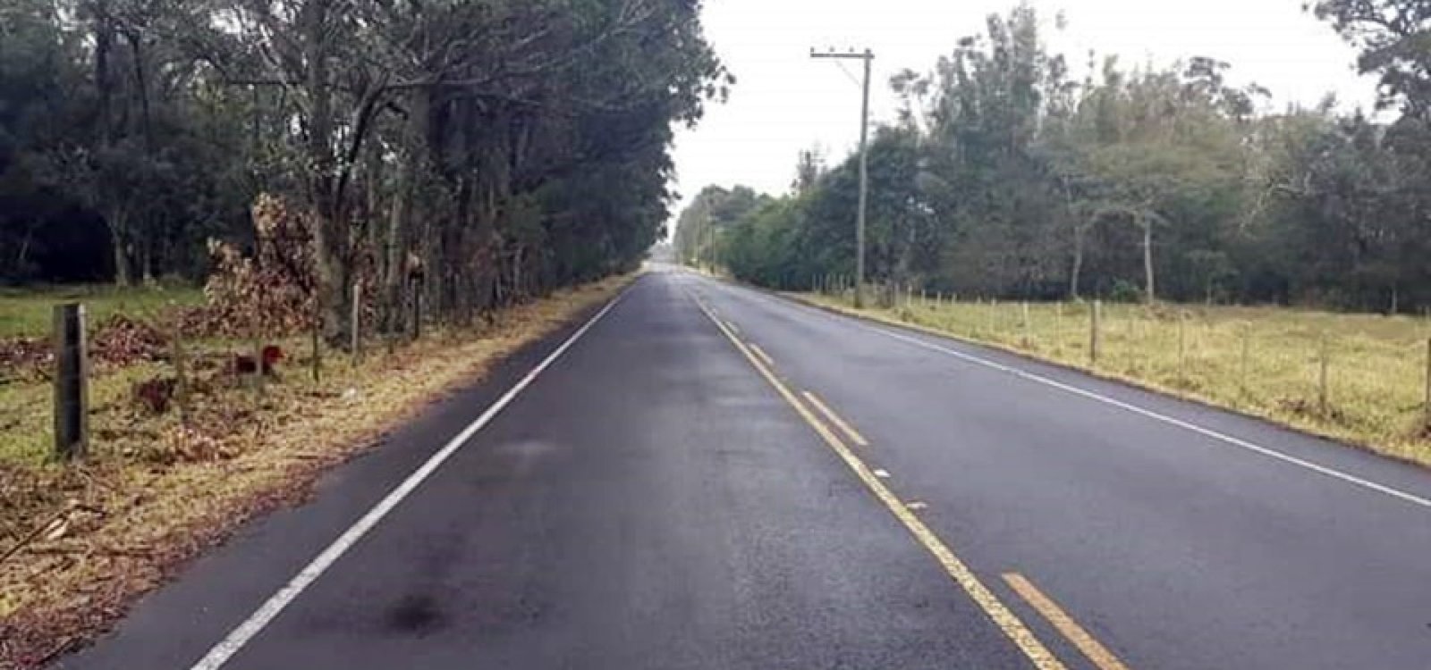 EstradaOsorio_310323