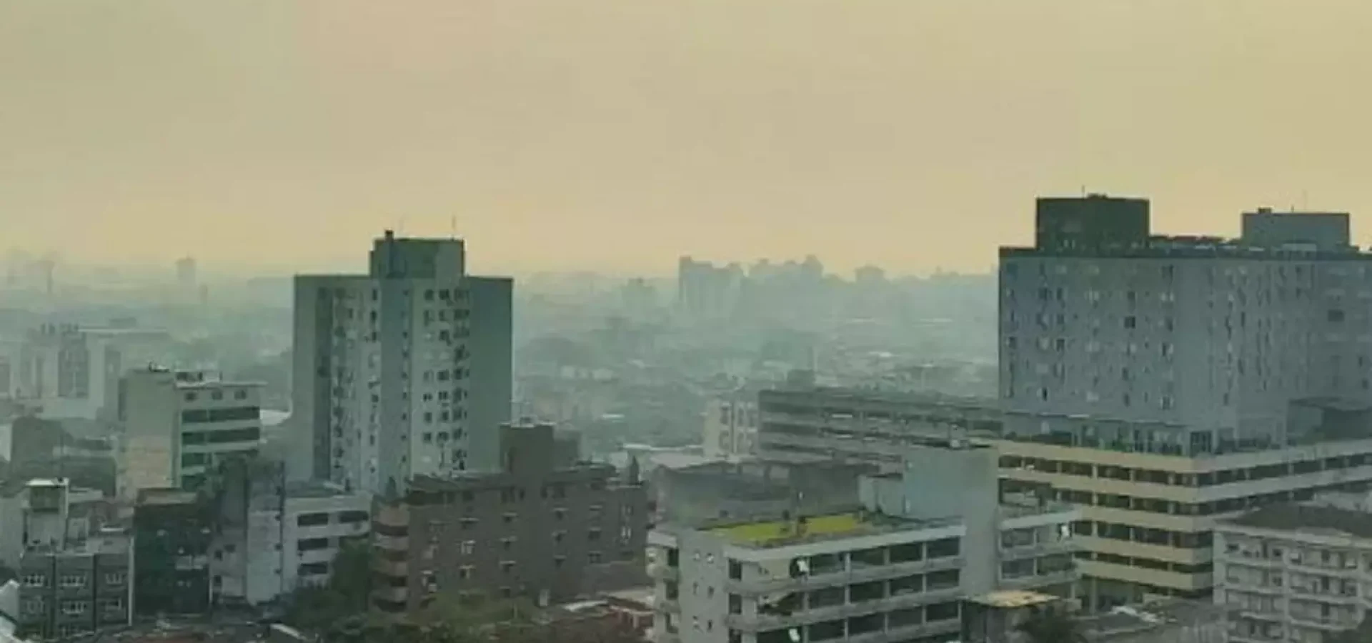 Problema tem contribuído para a pior da qualidade do ar em pelo menos dez Estados. (Foto: Thomas Adamski/Metsul)
