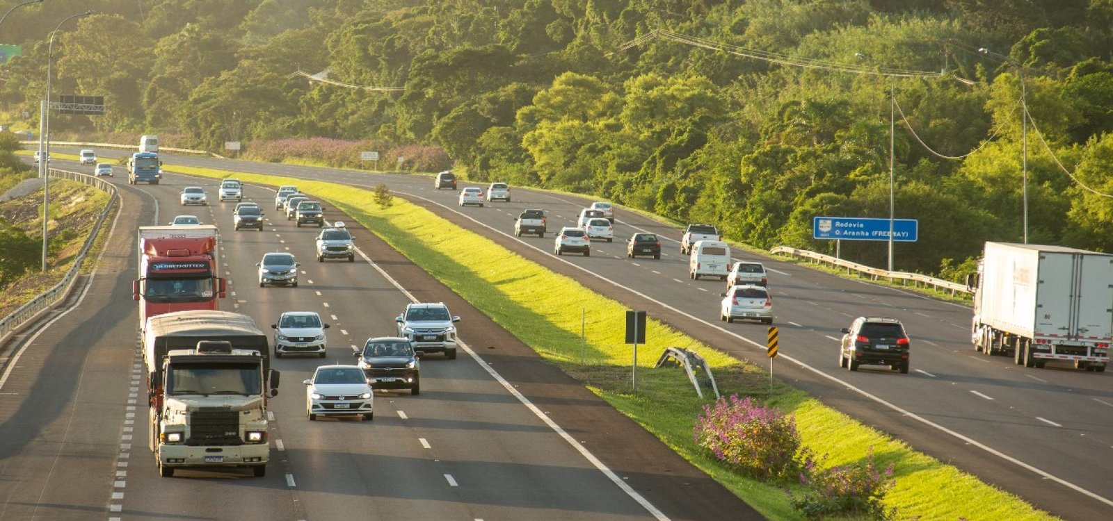 Freeway_300125 Freeway_300125
