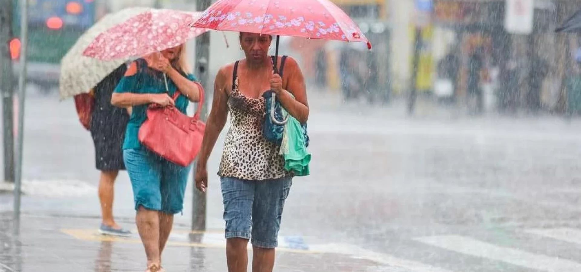 Ventos podem chegar perto ou acima de 100 km/h; há risco de danos e falta de luz | Foto: Guilherme Almeida / CP Memória