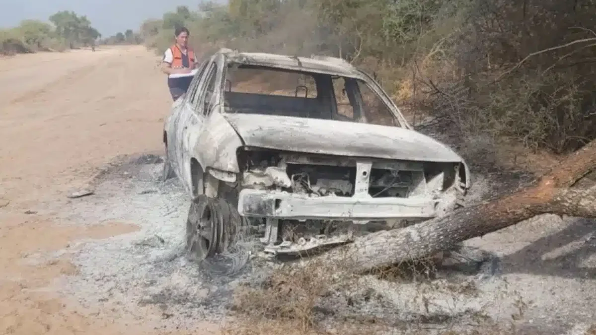Homem Que Ia Visitar O Túmulo Da Mãe É Atacado Por Abelhas, Perde O Controle Do Carro E Morre Carbonizado.
Foto: Reprodução/ X
