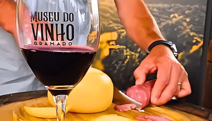 Descubra mais sobre o Museu do Vinho