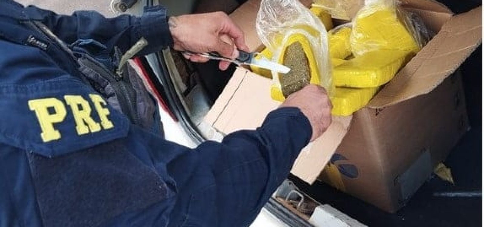 PRF prende homem com 28 kg de maconha em Torres PRF prende homem com 28 kg de maconha em Torres