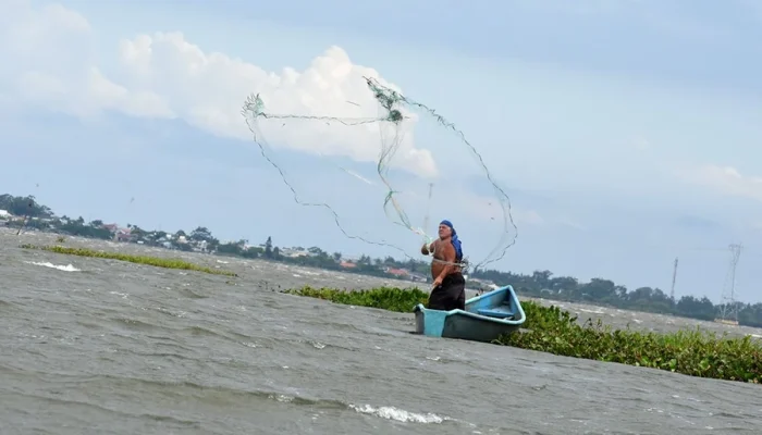Pescador-na-lagoa