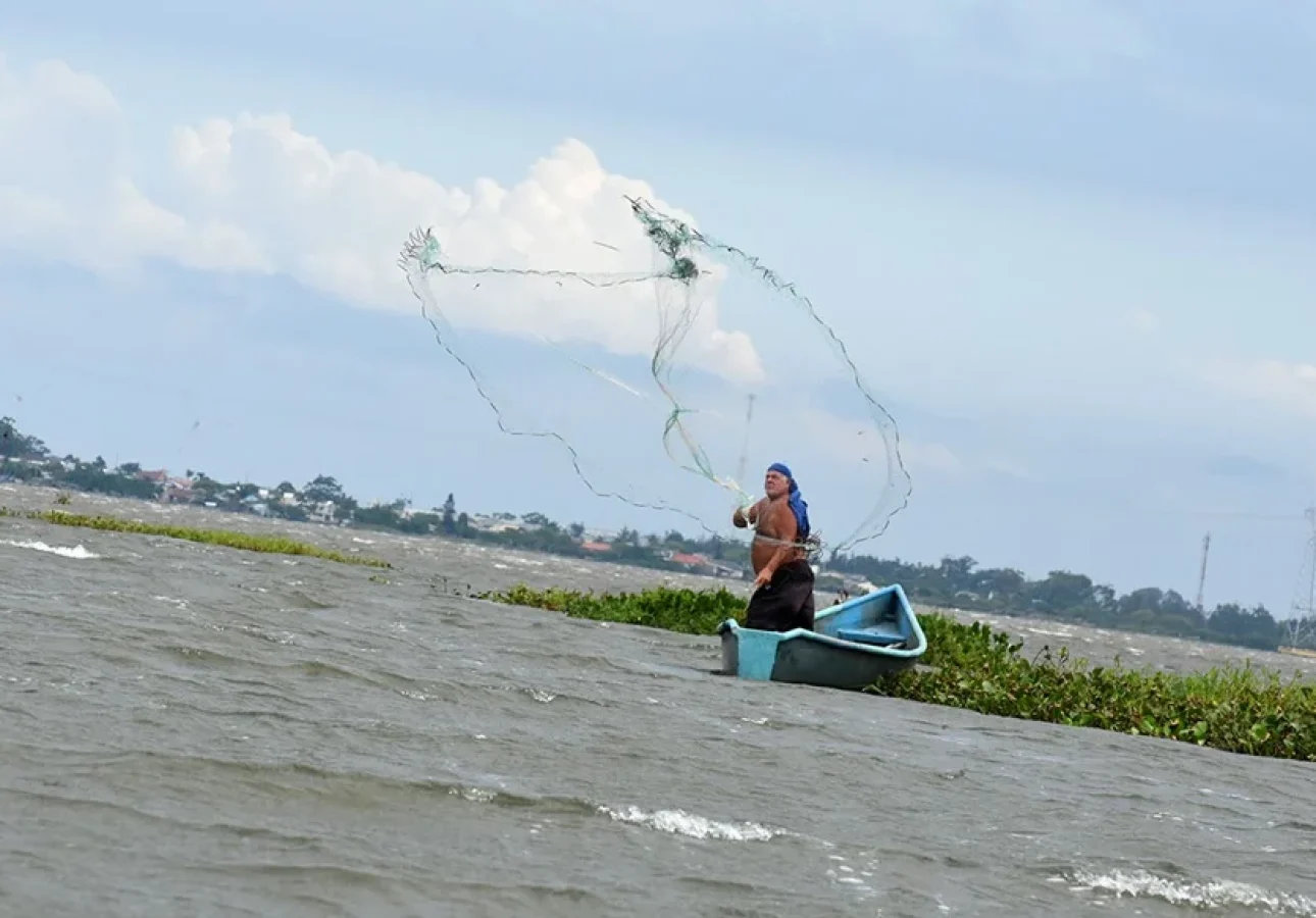 Pescador-na-lagoa