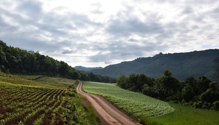 Roteiros e Paisagens – Pinhal Alto